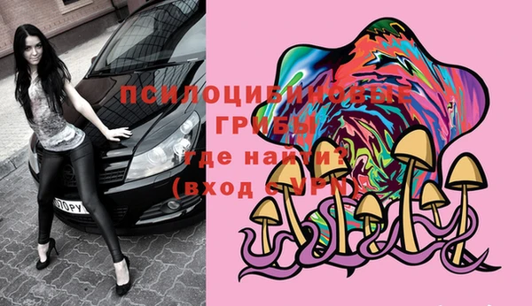 скорость Бородино