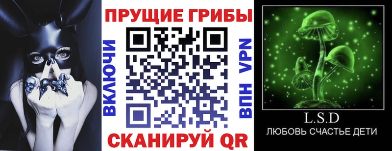 блэк спрут tor  Северск  Галлюциногенные грибы ЛСД 