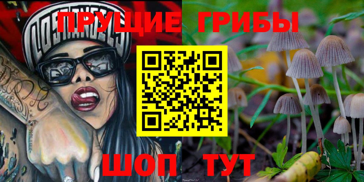 Галлюциногенные грибы MAGIC MUSHROOMS  Вход с VPN  Северск  Псилоцибиновые грибы Cubensis 