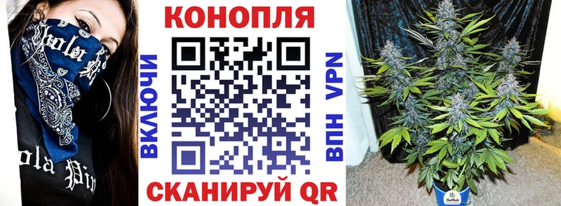 где купить   Северск  Шишки марихуана планчик 